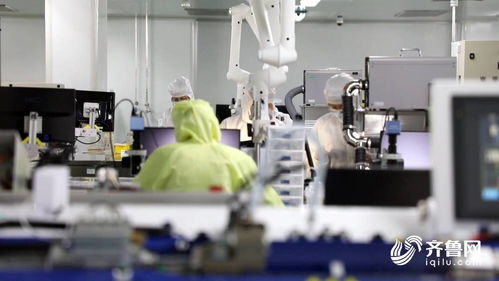 德州天衢新區以基金招商為引擎，加速物理治療與康復設備項目產業化進程